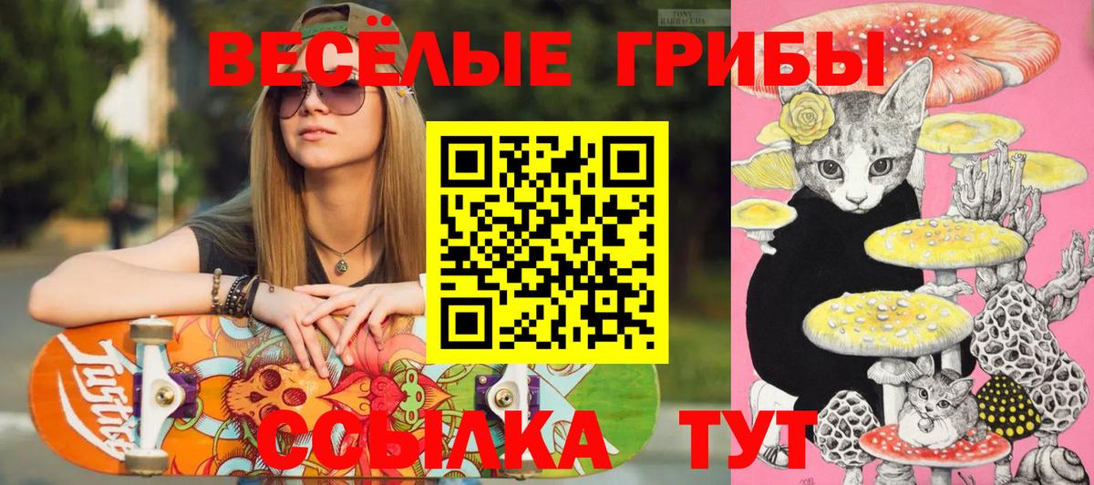 Псилоцибиновые грибы прущие грибы Будённовск